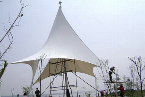 泰安胜利水库青青草官网下载 